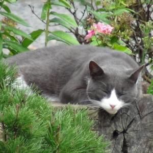 Meet your Posher, Jan